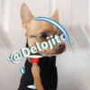 🍷🐕Perrito En Efecto2🐕🍷 21