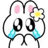 Cute summer bunny 2🏖🐰 MOV 16