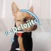 🍷🐕Perrito En Efecto2🐕🍷 23