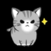 Gatos😺💞5🇵🇪Movi 17