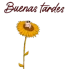 Подсолнухи 24