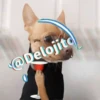 🍷🐕Perrito En Efecto2🐕🍷 24