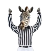 animals 2 mov 17