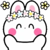 Cute summer bunny 🏖🐰 MOV 14