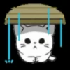 Gatos😺💞5🇵🇪Movi 22
