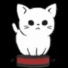 Gatos😺💞5🇵🇪Movi 24