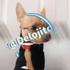 🍷🐕Perrito En Efecto2🐕🍷 27