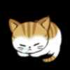 Gatos😺💞5🇵🇪Movi 25