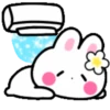 Cute summer bunny 2🏖🐰 MOV 17