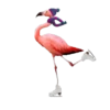 animals 2 mov 18