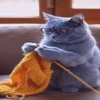 gatos animados 17