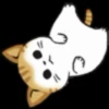 Gatos😺💞5🇵🇪Movi 27