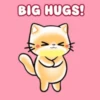 Mochi Gifs #1😺⭐.mov 27