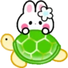 Cute summer bunny 🏖🐰 MOV 19