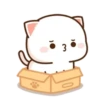 MOCHIS🐈CAT Especial III MOV 22