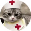 gatitos mov 24