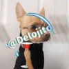 🍷🐕Perrito En Efecto2🐕🍷 28
