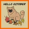 👻нEllσ σ¢тυвRE 🍁 28