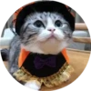 gatitos mov 25