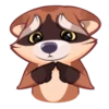 Proha Raccoon 2