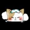 Gatos😺💞5🇵🇪Movi 30
