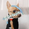 🍷🐕Perrito En Efecto2🐕🍷 30