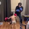 BOX #1🥊 8