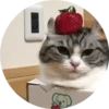 gatitos 2 mov 5