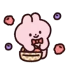 Strawberry rabbit 2 (Mov) 13