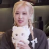 Blackpinck💞1🇵🇪Movi 14