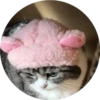 gatitos 2 mov 6