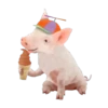 animals mov 6