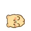 🧿Butter Bear  3🐻 5