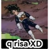 Goku chipeado 13