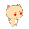 Lovely Cat 💖🐱 Mov 11