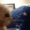 kitten 13