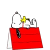 PEANUTS 9