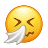 emojis 2 5