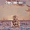 morning 9