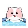 Pink Cat 🌸🐱 Mov 11