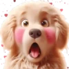 Perro Amoroso🐶💞1🇵🇪Movi 5