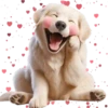 Perro Amoroso🐶💞1🇵🇪Movi 6