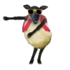 animals mov 9