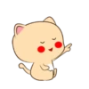 Lovely Cat 💖🐱 Mov 13