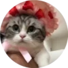 gatitos 2 mov 7