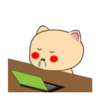Lovely Cat 💖🐱 Mov 14