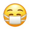 emojis 13