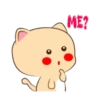 Lovely Cat 💖🐱 Mov 15