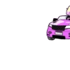Puppy 14