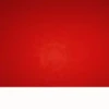 CNY 2024 - Greeting & Wishes 7